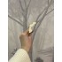 Потолочный плинтус (карниз) из полиуретана Orac Decor C322