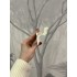 Потолочный плинтус галтель из полиуретана Orac Decor C323