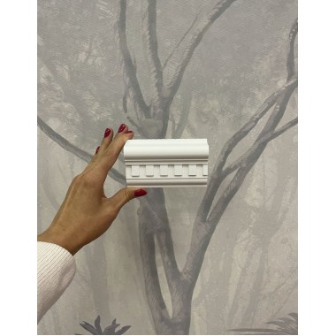 Молдинг Orac Decor P6020
