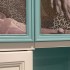 Молдинг из дюрополимера Orac Decor PX117