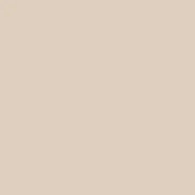 цвет краски Hygge HG02-043_STUCCO_TAN