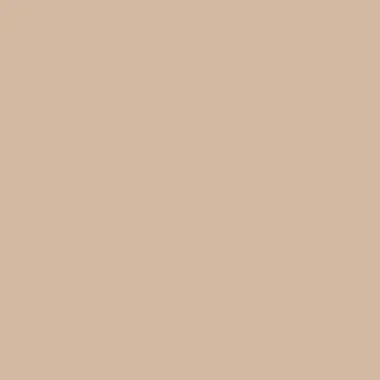 цвет краски Hygge HG03-026_BISCOTTI