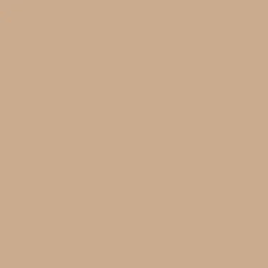 цвет краски Hygge HG03-034_PONY_TAIL