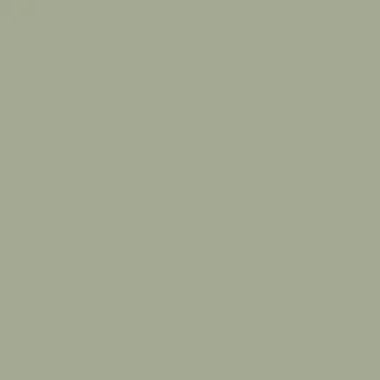 цвет краски Hygge HG03-042_FOILLE