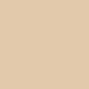 цвет краски Hygge HG06-005_CARAMEL_WAF