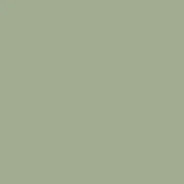 цвет краски Hygge HG07-016_FOREST_MIST