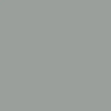 цвет краски Hygge HG08-035_PURE_NICKEL
