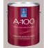 Фасадная краска Sherwin Williams A-100 Exterior Acrylic Latex Flat на основе акрилового полимера