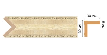 Цветной угол Decomaster 116-5 (30*30*2400) ДМ