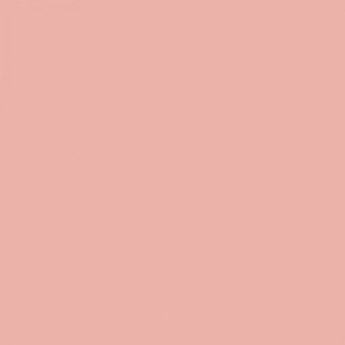 Краска Swiss Lake «Coral Blush», sl-1461