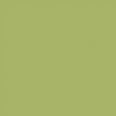 Краска Swiss Lake «Lime Green», sl-2492