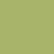 Краска Swiss Lake «Lime Green», sl-2492
