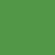 Краска Swiss Lake «Pure Green», sl-2504