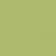 Краска Swiss Lake «Oil Green», sl-2530