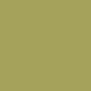 Краска Swiss Lake «Tropic Green», sl-2537