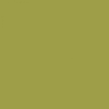 Краска Swiss Lake «Fir Green», sl-2538