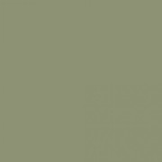 Краска Swiss Lake «Medium Green», sl-2555