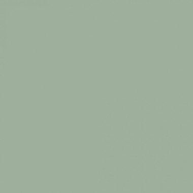 Краска Swiss Lake «Celery Green», sl-2636