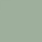 Краска Swiss Lake «Celery Green», sl-2636