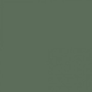 Краска Swiss Lake «Dark Olive», sl-2648