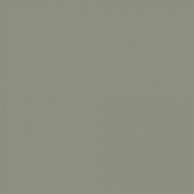 Краска Swiss Lake «Rare Gray», sl-2867