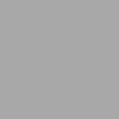 Краска Swiss Lake «Ash Gray», sl-2885