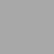 Краска Swiss Lake «Ash Gray», sl-2885