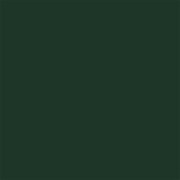 Цвет SW0016 Billiard Green chip 