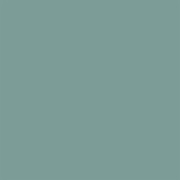 Цвет SW0017 Calico chip 
