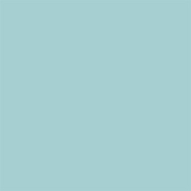 Цвет SW0019 Festoon Aqua chip 