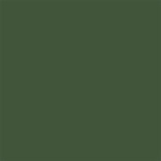 Цвет SW0065 Vogue Green chip 