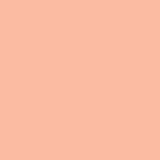 Цвет SW0069 Rose Tan chip 
