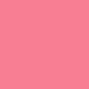Цвет SW0080 Pink Flamingo chip 