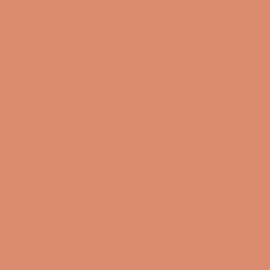 Цвет SW2854 Caribbean Coral chip 