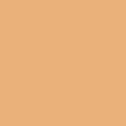 Цвет SW2858 Harvest Gold chip 