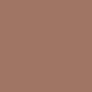 Цвет SW6060 Moroccan Brown chip 