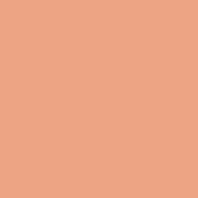 Цвет SW6346 Fame Orange chip 