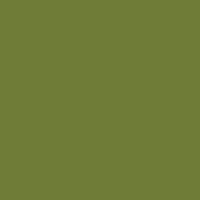 Цвет SW6425 Relentless Olive chip 