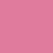 Цвет SW6571 Cyclamen chip 