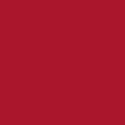 Цвет SW6594 Poinsettia chip 