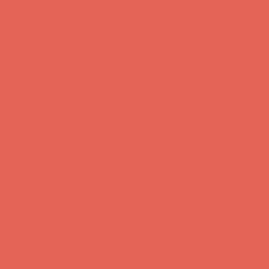 Цвет SW6614 Quite Coral chip 