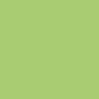 Цвет SW6717 Lime Rickey chip 