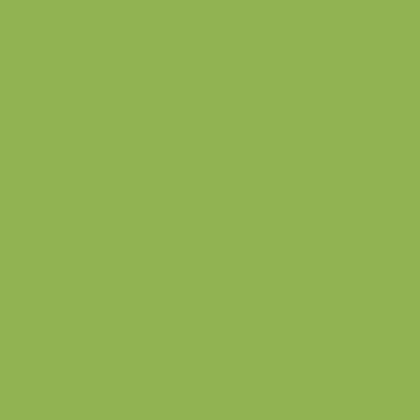 Цвет SW6718 Overt Green chip 