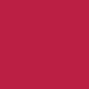 Цвет SW6861 Radish chip 