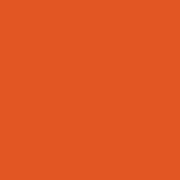 Цвет SW6883 Raucous Orange chip 