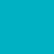 Цвет SW6950 Calypso chip 