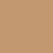 Цвет SW9186 Caramelized chip 